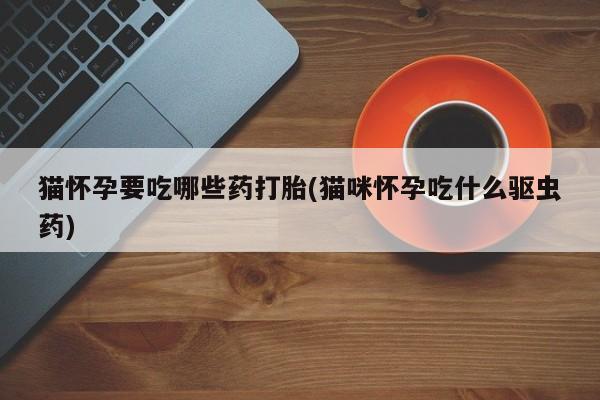 哪里有流产药联系方式猫怀孕要吃哪些药打胎(猫咪怀孕吃什么驱虫药)
